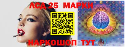 дмт Ставрополь
