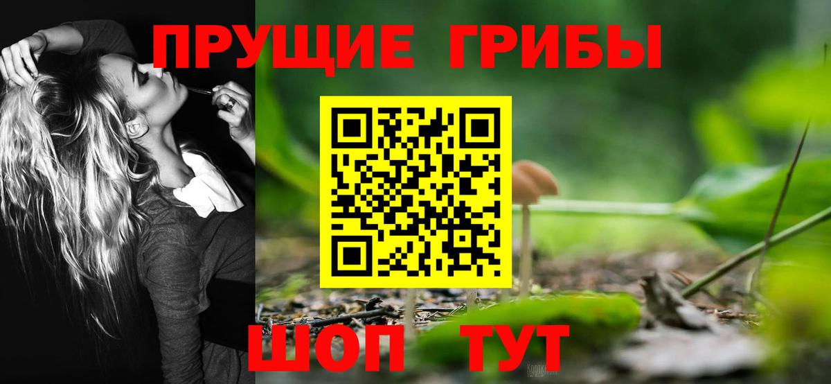 Галлюциногенные грибы прущие грибы  Вход с VPN  Обь  где найти наркотики  Галлюциногенные грибы Magic Shrooms 